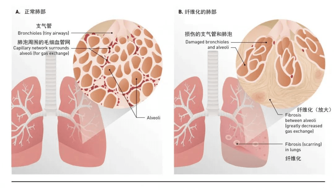 &#112;&#112;&#30005;&#23376;&#40;&#20013;&#22269;&#28216;&#41;&#23448;&#26041;&#22312;&#32447;&#24179;&#21488;