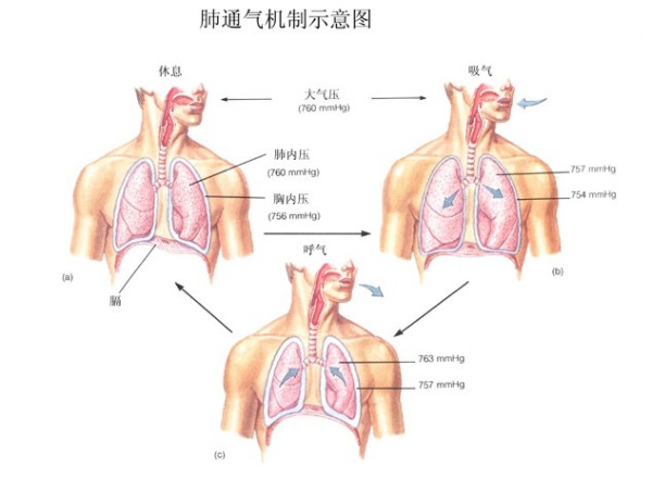 &#112;&#112;&#30005;&#23376;&#40;&#20013;&#22269;&#28216;&#41;&#23448;&#26041;&#22312;&#32447;&#24179;&#21488;