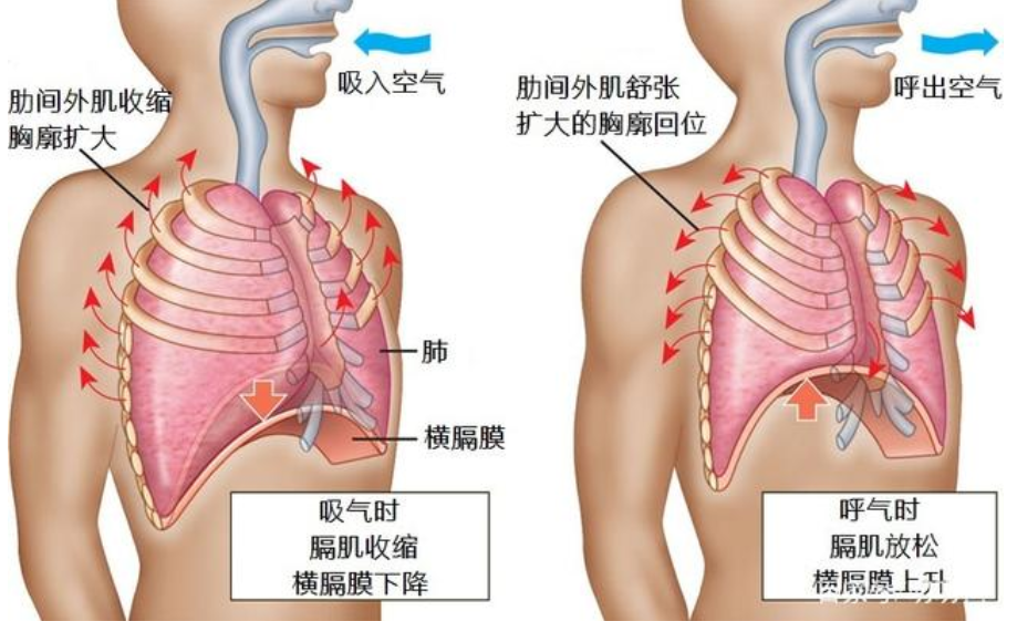 &#112;&#112;&#30005;&#23376;&#40;&#20013;&#22269;&#28216;&#41;&#23448;&#26041;&#22312;&#32447;&#24179;&#21488;